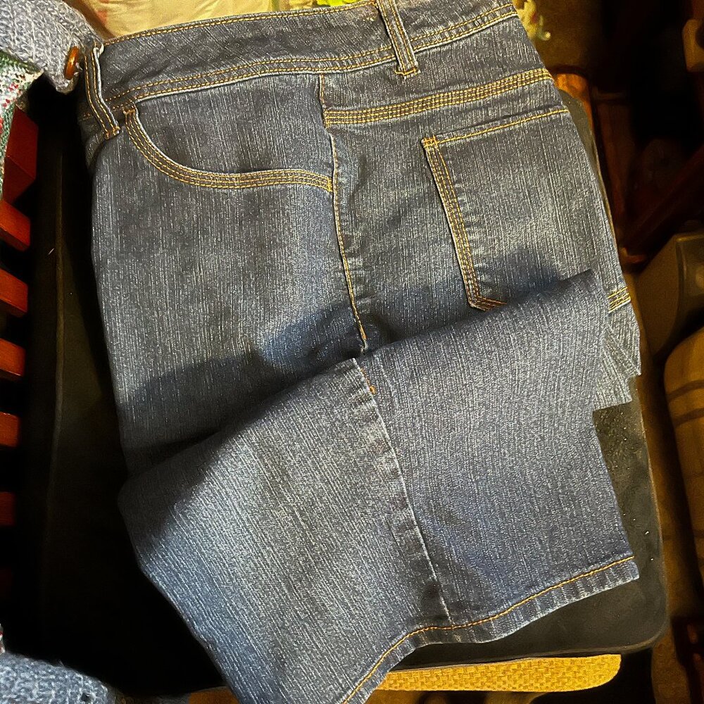 Faded Glory Women's Blue Jean Shorts (size 16; circa 2015)